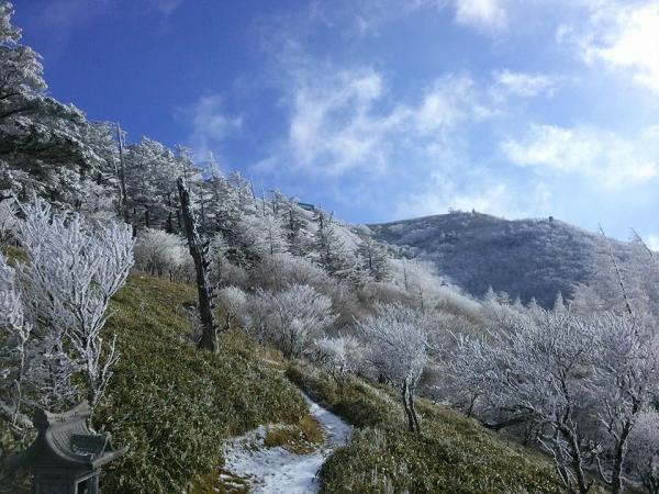 剣山の霧氷